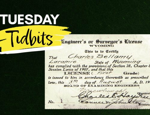 The First Professional Engineering License in the United States