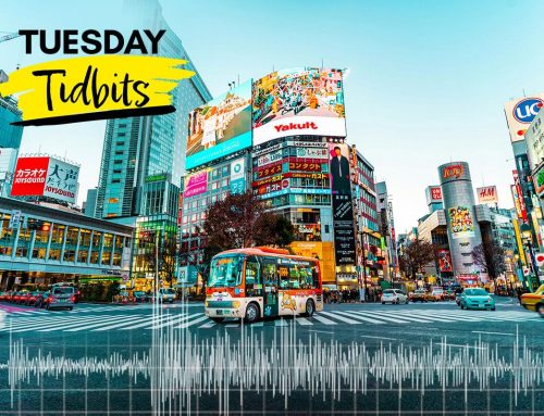 Japan’s Unique Earthquake Mitigation Techniques